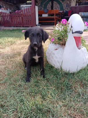 Kate ein liebes Mädchen  Bild 6 Kate ein liebes Mädchen  Bild 6