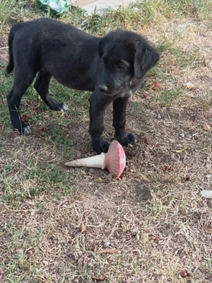 Kate ein liebes Mädchen  Bild 7 Kate ein liebes Mädchen  Bild 7