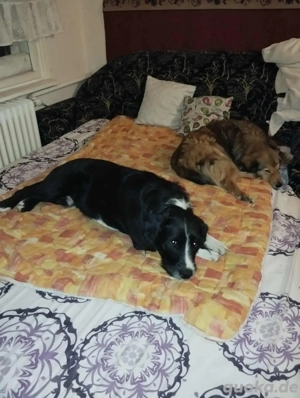     Lesly sucht seine Menschen    