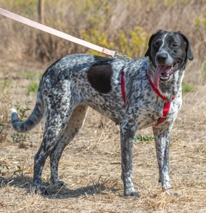 Lucile, ein feines Mädchen!