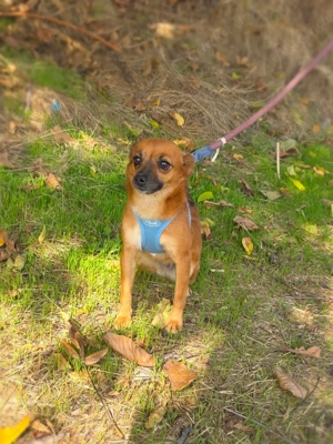 Julia sucht ein Zuhause 