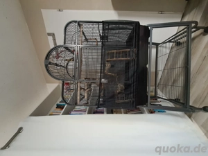 Voliere neuwertig günstig abzugeben 