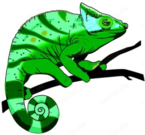 1,0 Python regius, Königspython "Bumble bee Clown" DNZ 2024 