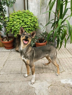 Daniela sucht eine Familie