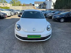 Volkswagen Beetle Lim. Sport*Klimaau*Navi*Xen*PDS