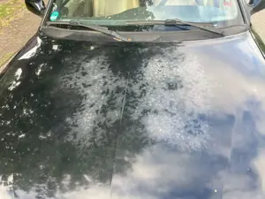 Saab 9-3 9-3 2.0i Turbo Cabrio SE Bild 2