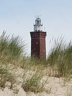 Sommer an der niederländischen Nordseeküste Bild 3
