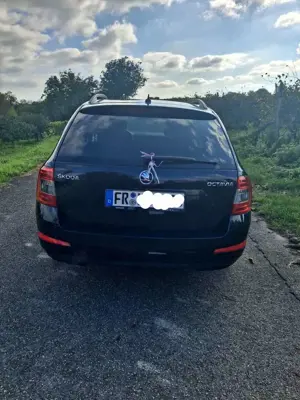 Skoda Octavia Combi 1.6 TDI Ambition Bild 5