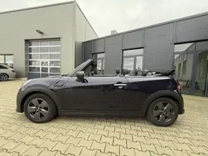 MINI Cooper Cabrio Classic Trim Steptronic Premium Bild 4