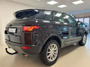 Land Rover Range Rover Evoque Pure°Allrad°Navi°AHK°1.Hand° Bild 3