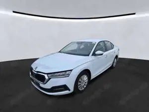 Skoda Octavia Lim. Ambition 2.0TDI DSG LED PDC Bild 1