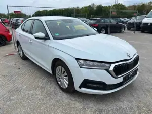 Skoda Octavia Lim. Ambition 2.0TDI DSG LED PDC Bild 3