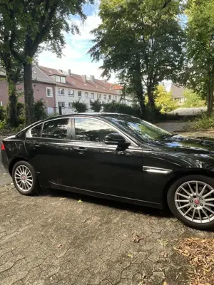 Jaguar XE E-Performance Pure Bild 4