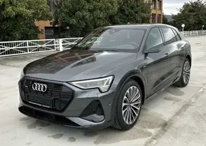 Audi e-tron 55 quattro S line NP:113T¤