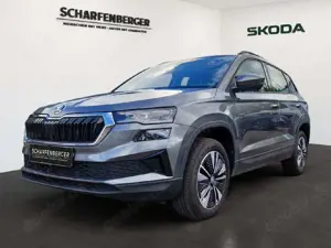 Skoda Karoq Selection TSI DSG *Navi,ACC,LHZ,RFK*