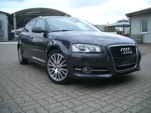 Audi A3 1.6 Ambition Bi-Xenon So/Wi Sihzg Tempomat AAC TOP