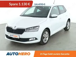 Skoda Fabia 1.0 TSI Style*TEMPO*CAM*PDC*