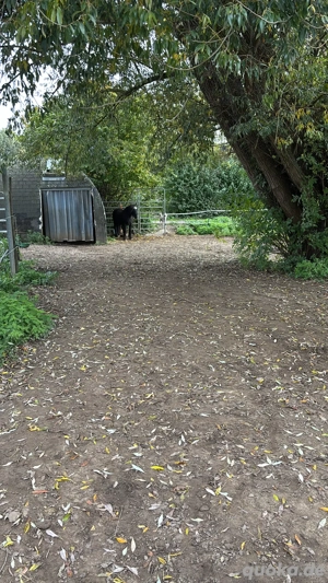 Offenstall für Selbstmister