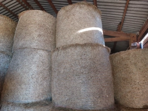 Heu, Heuballen, Rundballen