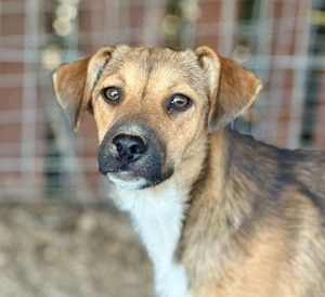 Alita ist noch etwas schüchtern