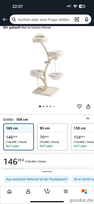 Verkaufe meine 6 Monate alte Katze