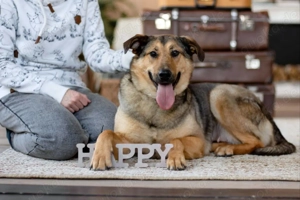 Wunderschöne Musya wartet auf dich 
