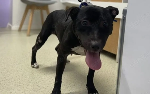 Stormy sucht eine Chance auf ein besseres Leben