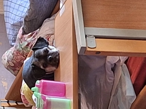 Wohnung in Ulmen Erdgeschoss  Bild 3