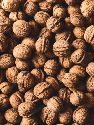 Walnüsse neue Ernte 2025