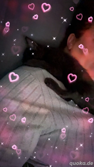 Kitten 13 Wochen beides weibchen Bild 4