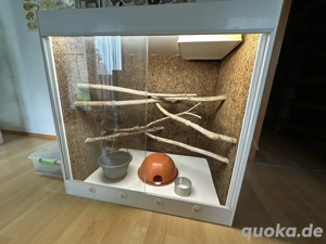 Therrarium Kunststoff von Pythonking inkl Technik