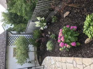 Gartenarbeiten   Für einen Garten, der begeistert!