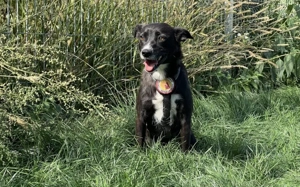 Zarte Lumsi steckt voller Lebensfreude