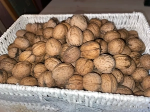 Walnüsse '25 ungespritzt