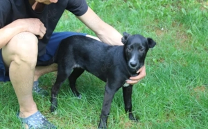 Darf Ruby dein Herz erobern?