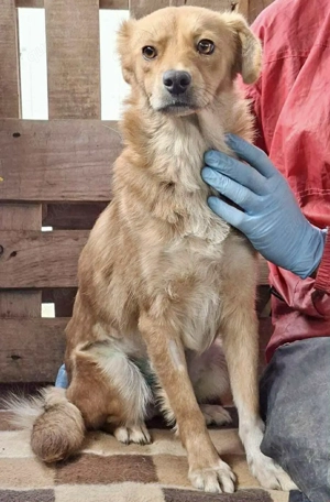 Leni - liebevoll & sanft Bild 7