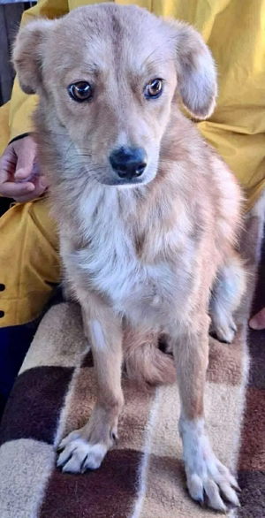 Leni - liebevoll & sanft Bild 6