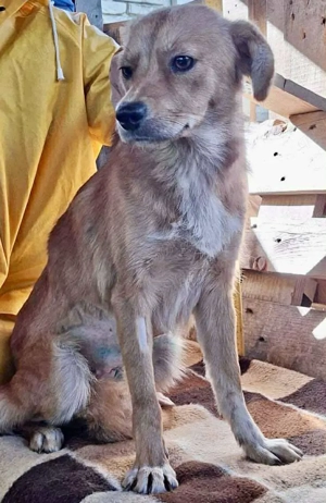 Leni - liebevoll & sanft Bild 4