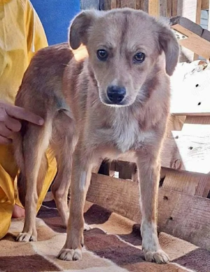 Leni - liebevoll & sanft Bild 5