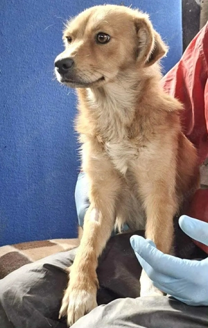 Leni - liebevoll & sanft Bild 9