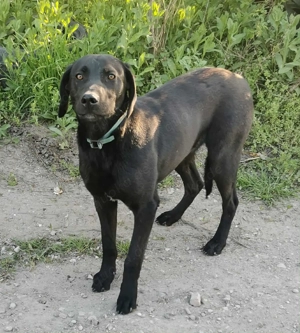 Ich bin groß und ein Traum.