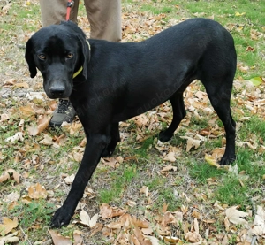 Ich bin groß und ein Traum.