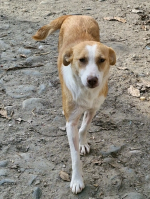 die soziale Jenny sucht dich