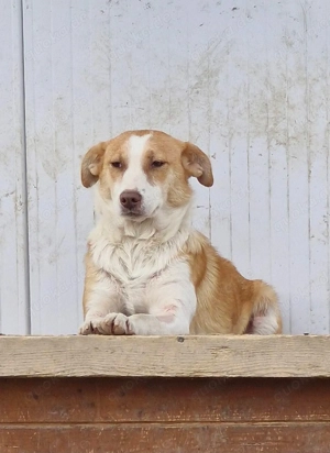 Jenny ist eine gute Seele