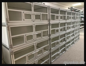 Volierenbau Dennis Worth