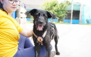 Kiara - Lebensfreude pur