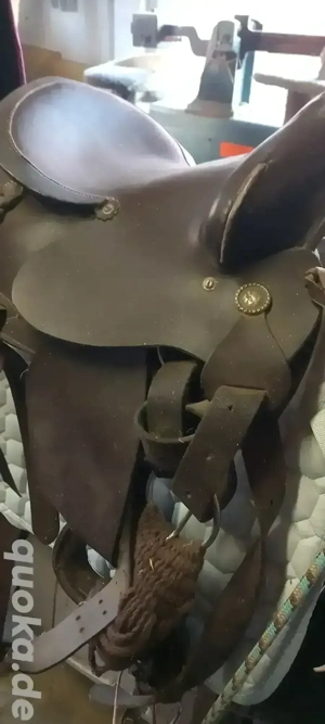 Shetty westernsattel