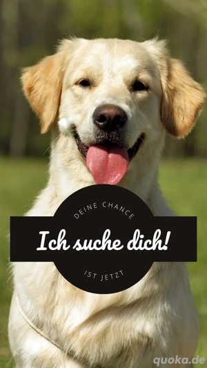 Wir erweitern unser Team 