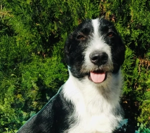 Sehr freundlicher Theo