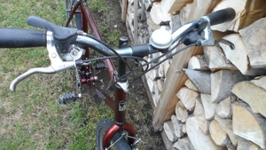 Herrenfahrrad TRECK 26" Bild 5